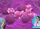 Pune Scientists Develop New Nanomedicine That Can Target Breast Cancer Cells with Minimal Side Effects