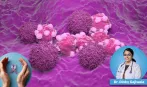 Pune Scientists Develop New Nanomedicine That Can Target Breast Cancer Cells with Minimal Side Effects