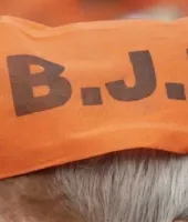 Headache for Gujarat BJP: Widespread Corruption by Some Bureaucrats and Leaders