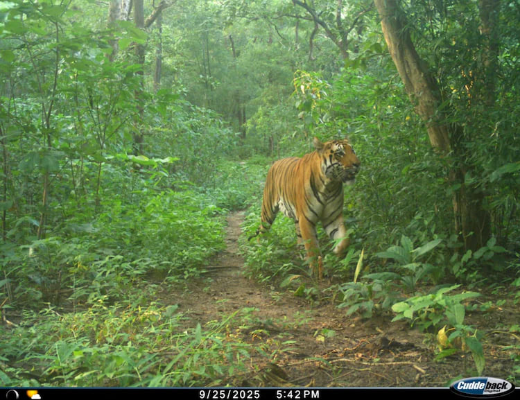 photo_2025-11-21_13-11-50