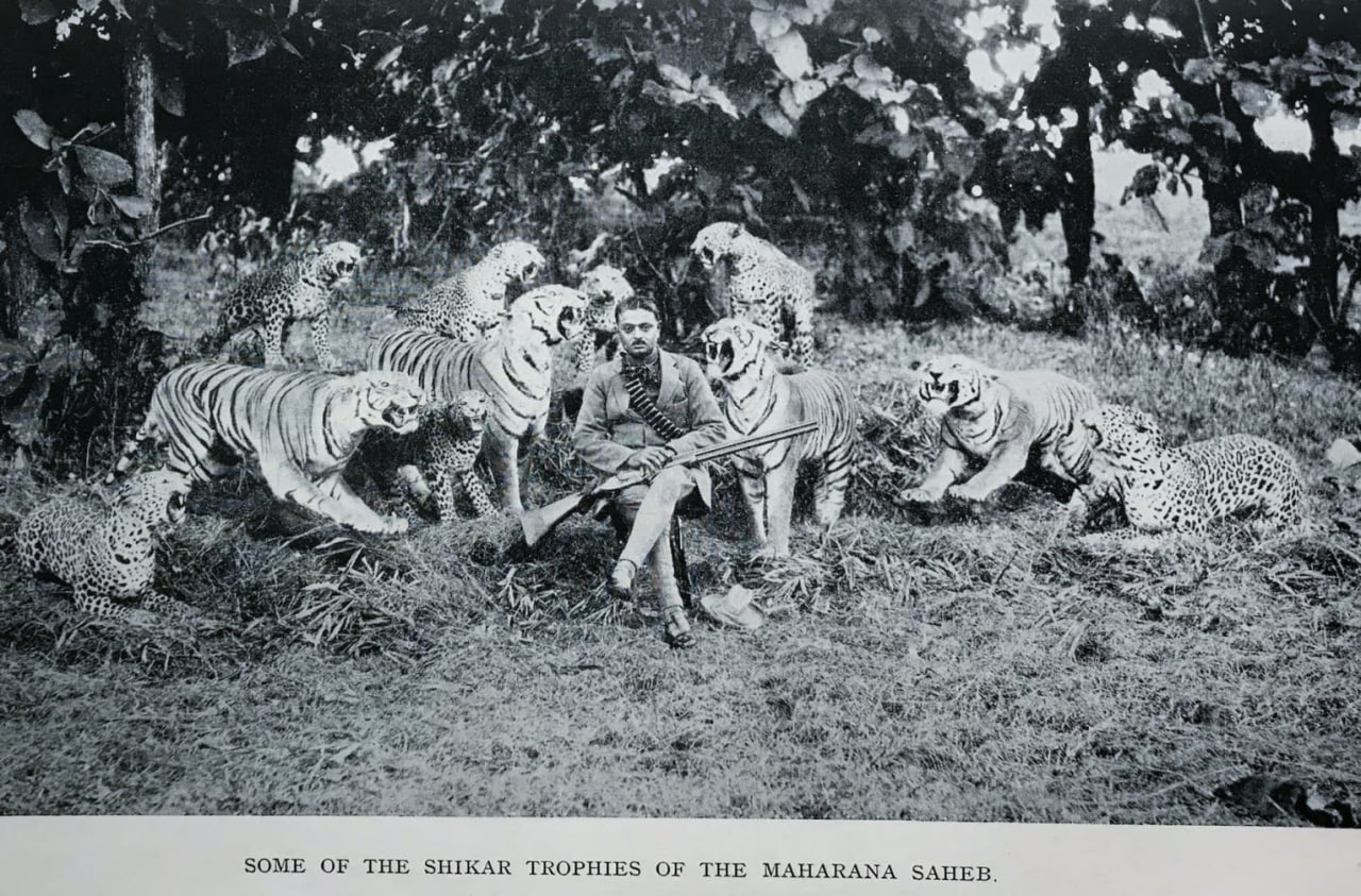 photo_2025-11-21_13-12-20