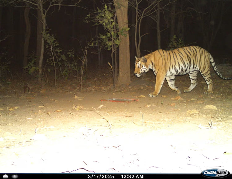 photo_2025-11-21_13-12-25