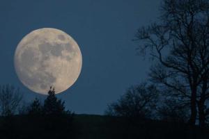 The first supermoon of the year: Why is January's Wolf Moon special?