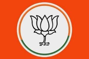 No matter when elections are announced or who the candidate is, our vote will go to the lotus symbol